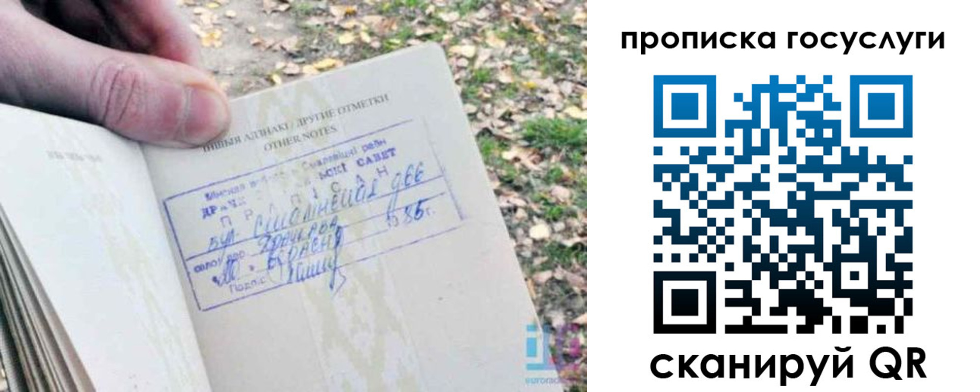временная регистрация собственник в Железногорске